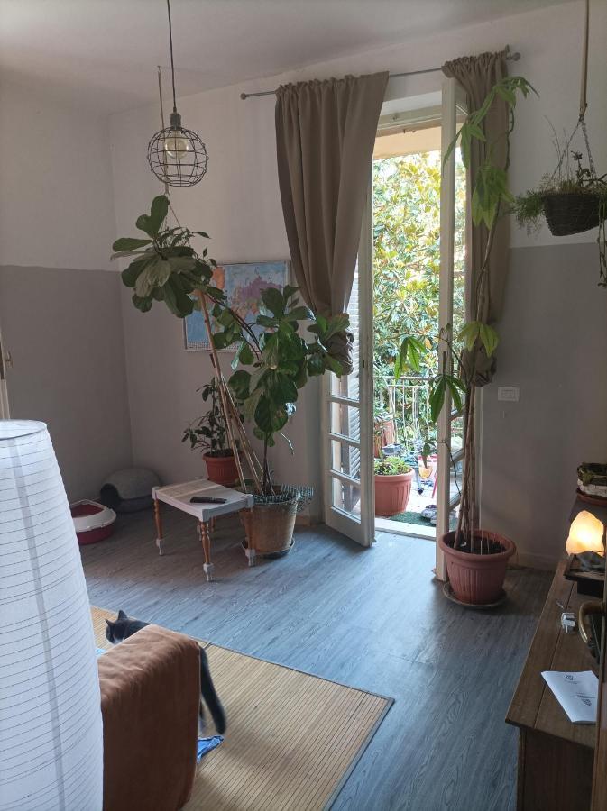 佩鲁贾Boh & Boh A Casa Di Luca And His Cats公寓 外观 照片