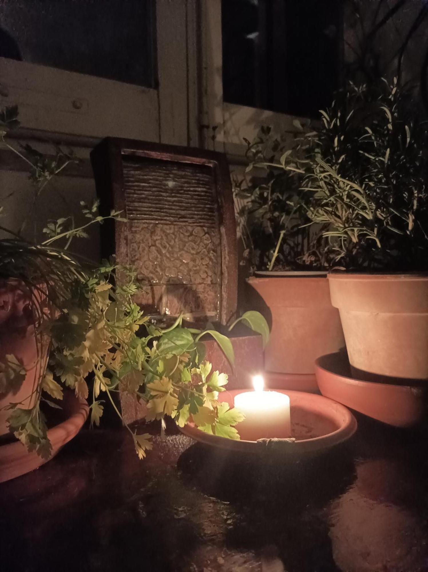 佩鲁贾Boh & Boh A Casa Di Luca And His Cats公寓 外观 照片