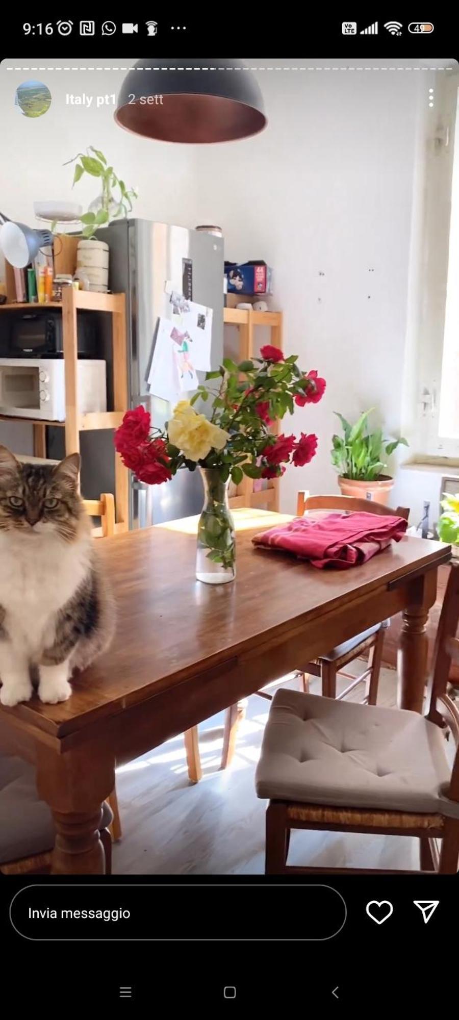佩鲁贾Boh & Boh A Casa Di Luca And His Cats公寓 外观 照片